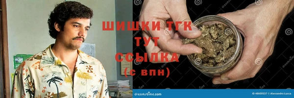 винт Вяземский