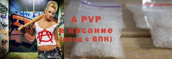 винт Вяземский