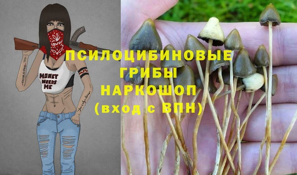 таблы Горняк
