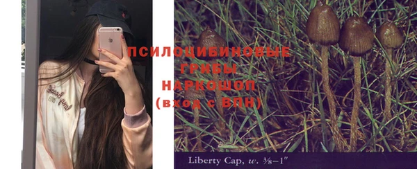 винт Вяземский