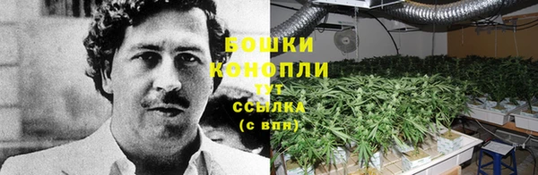 каннабис Горнозаводск